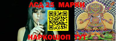гашик Можга