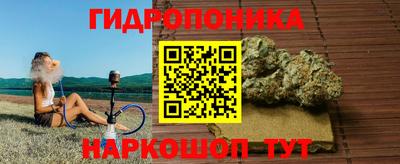 гашик Можга