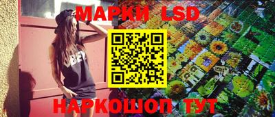 гашик Можга