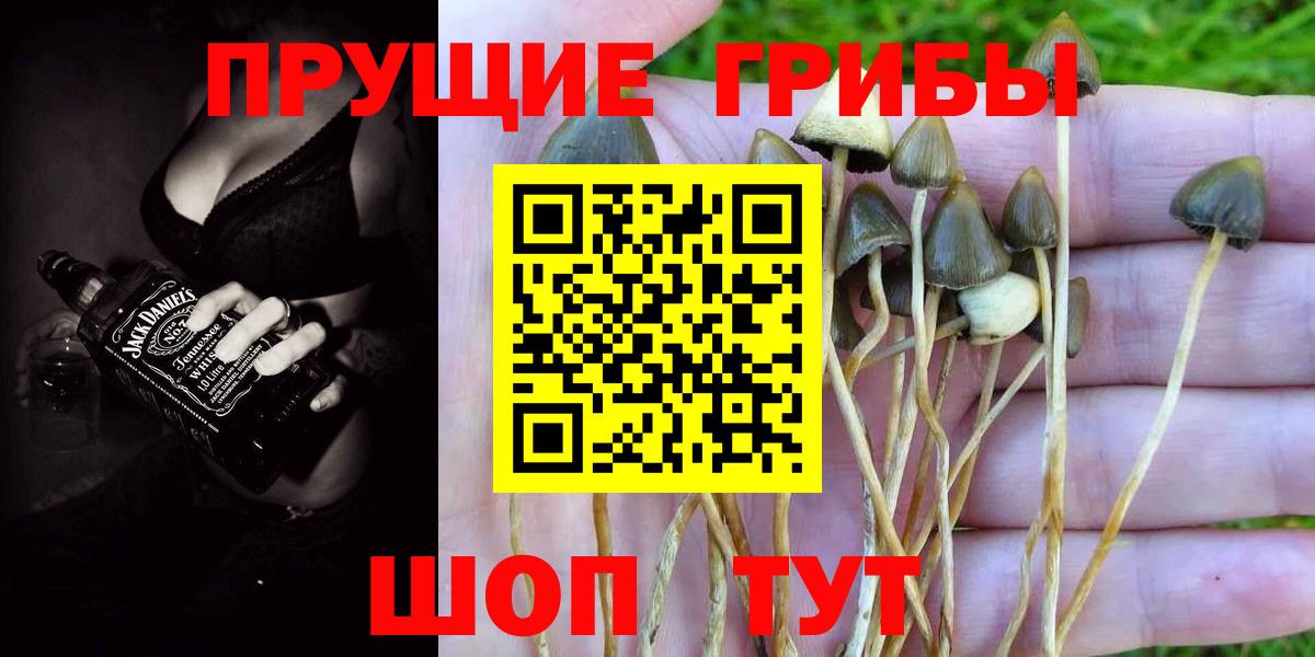 Алапаевск  Галлюциногенные грибы Magic Shrooms  где продают   Вход с VPN 